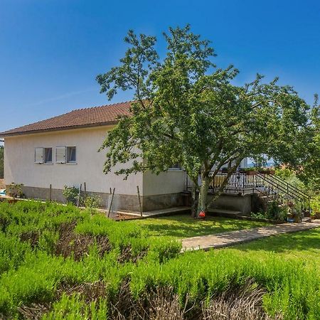 Skrbčići Apartments Marica מראה חיצוני תמונה